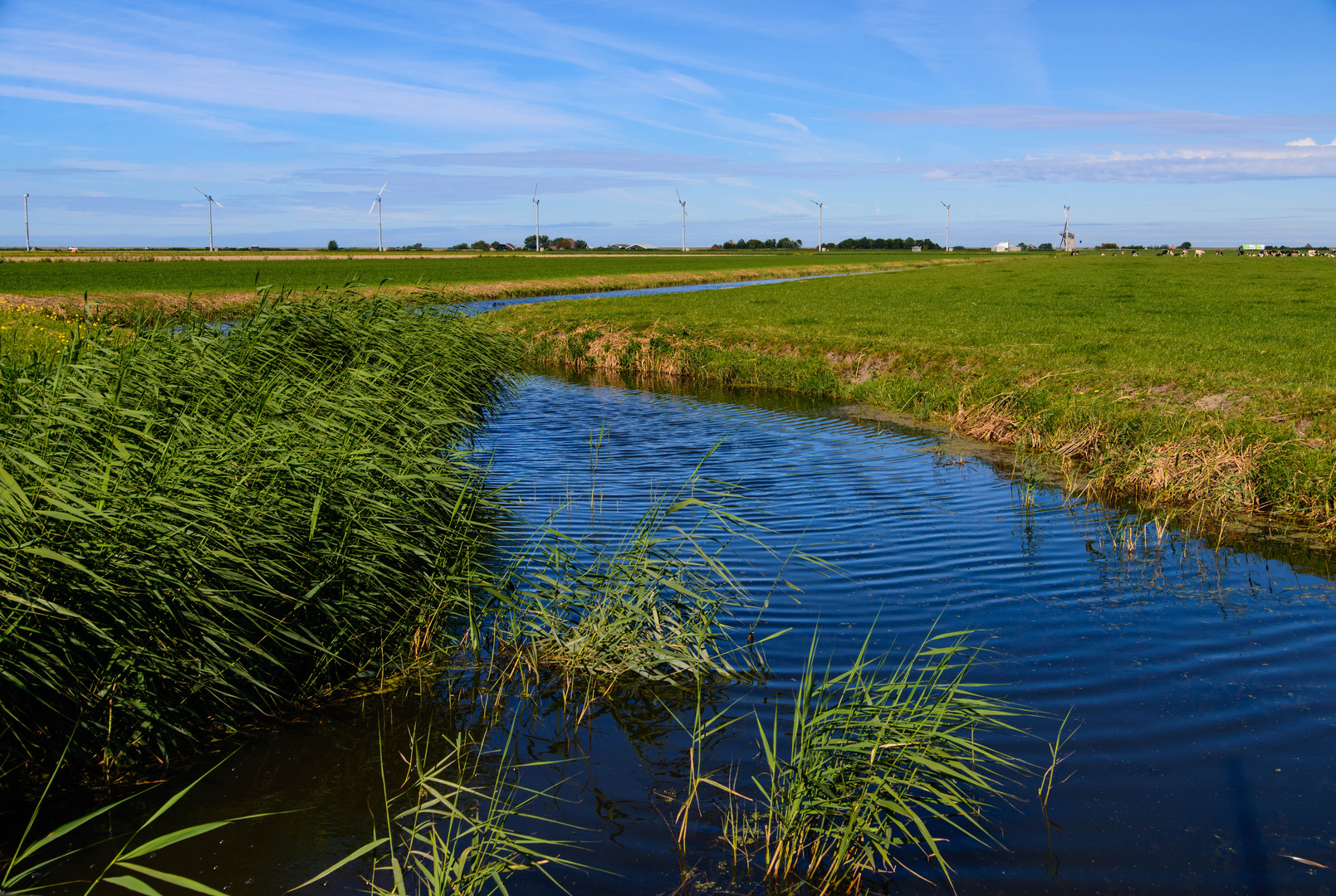 [ Polder ]