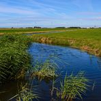 [ Polder ]