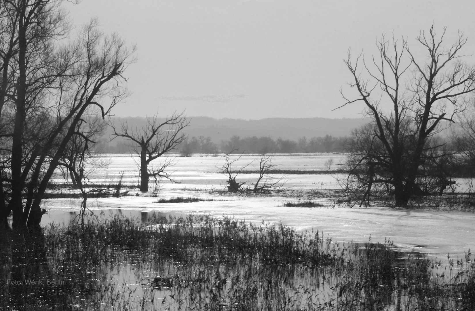 Polder