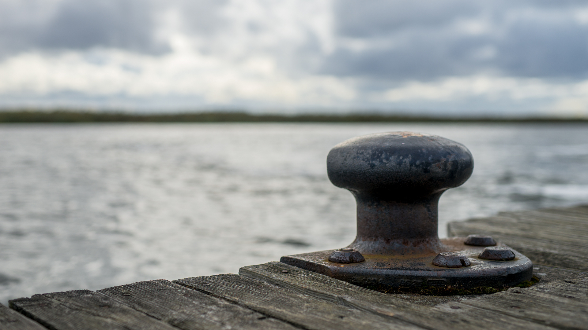 Polder am Boddenhafen von Zingst