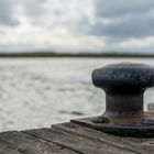 Polder am Boddenhafen von Zingst