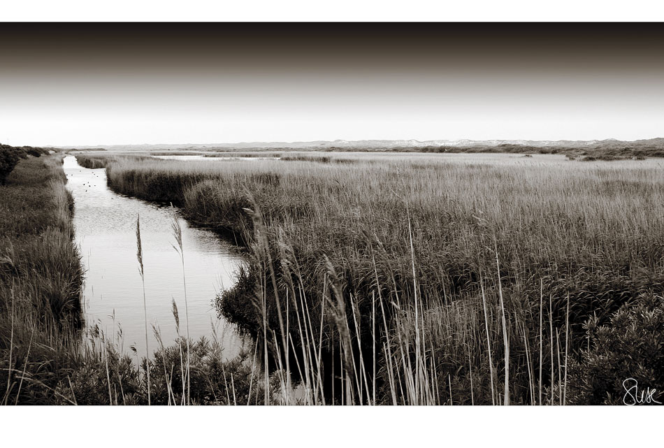 polder