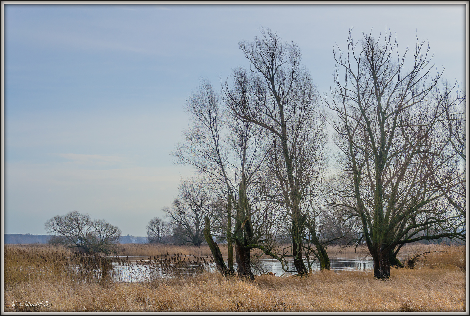 Polder im Januar 3