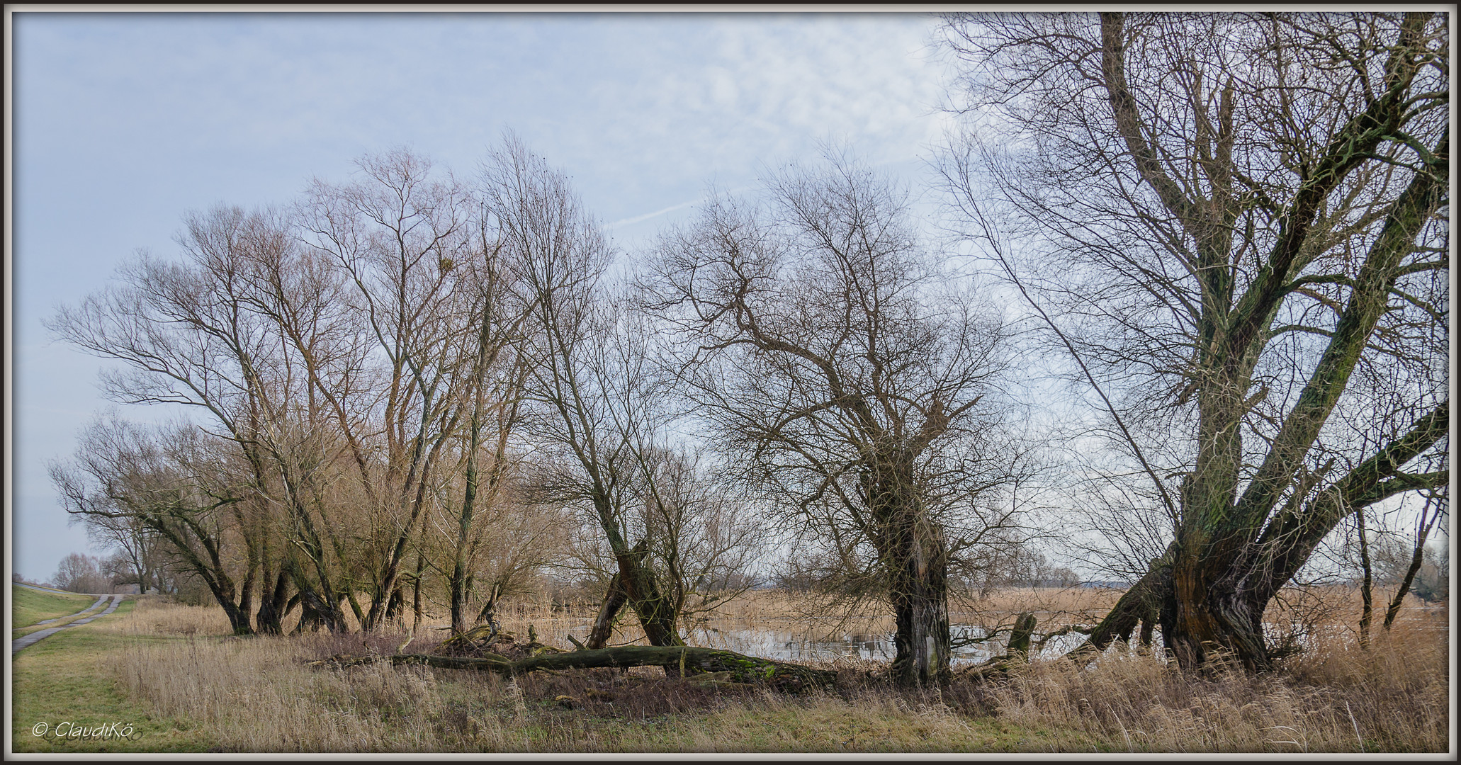 Polder im Januar