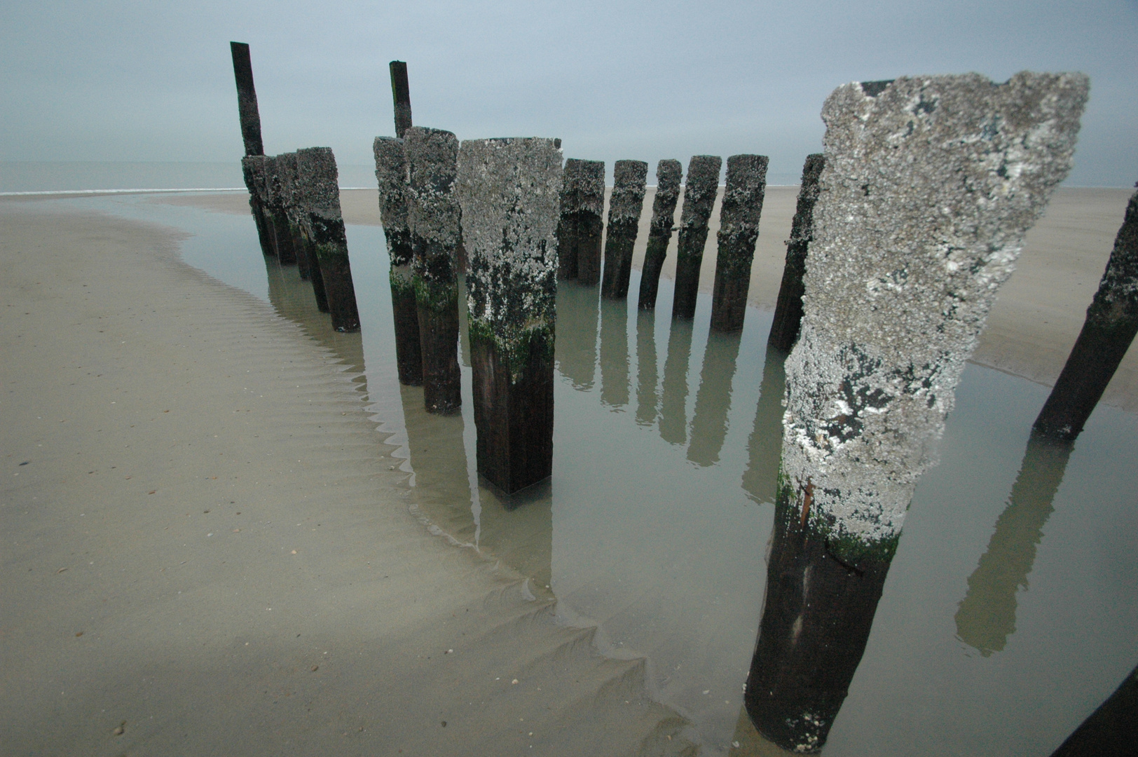 Polder in Hof Domburg 30 12 2010