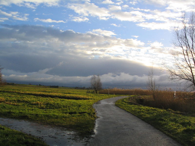 Polder in Holland