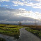 Polder in Holland