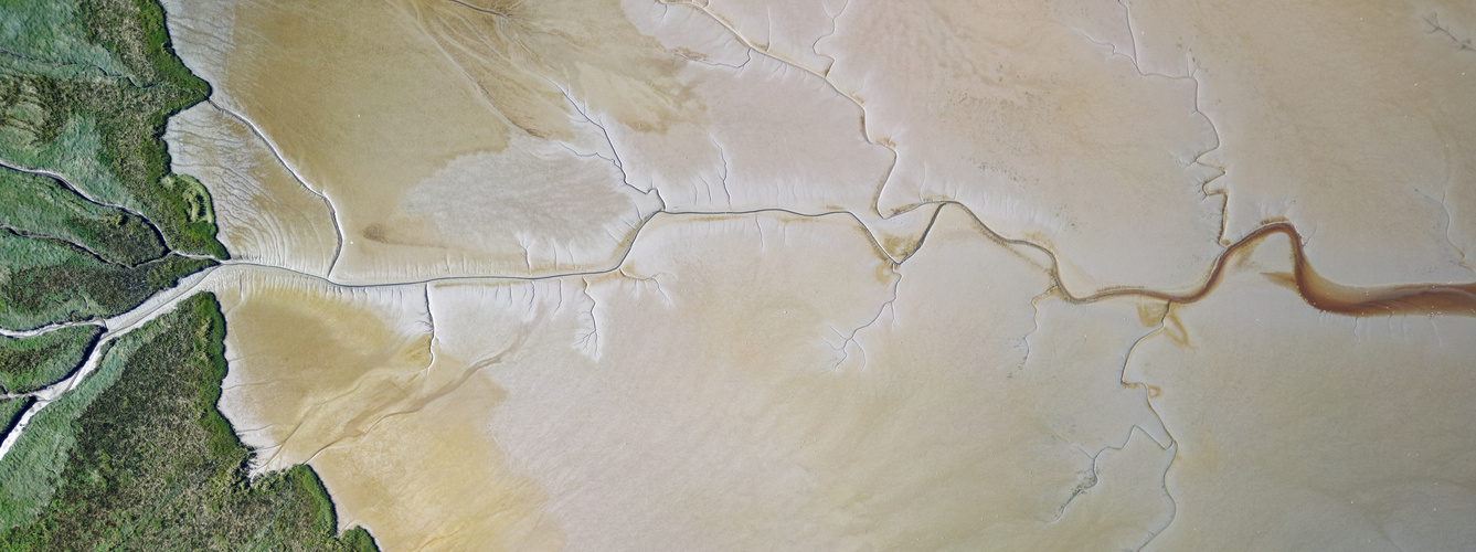 Polder und Priele im Wattenmeer, bei Engbüttel/Deutschland