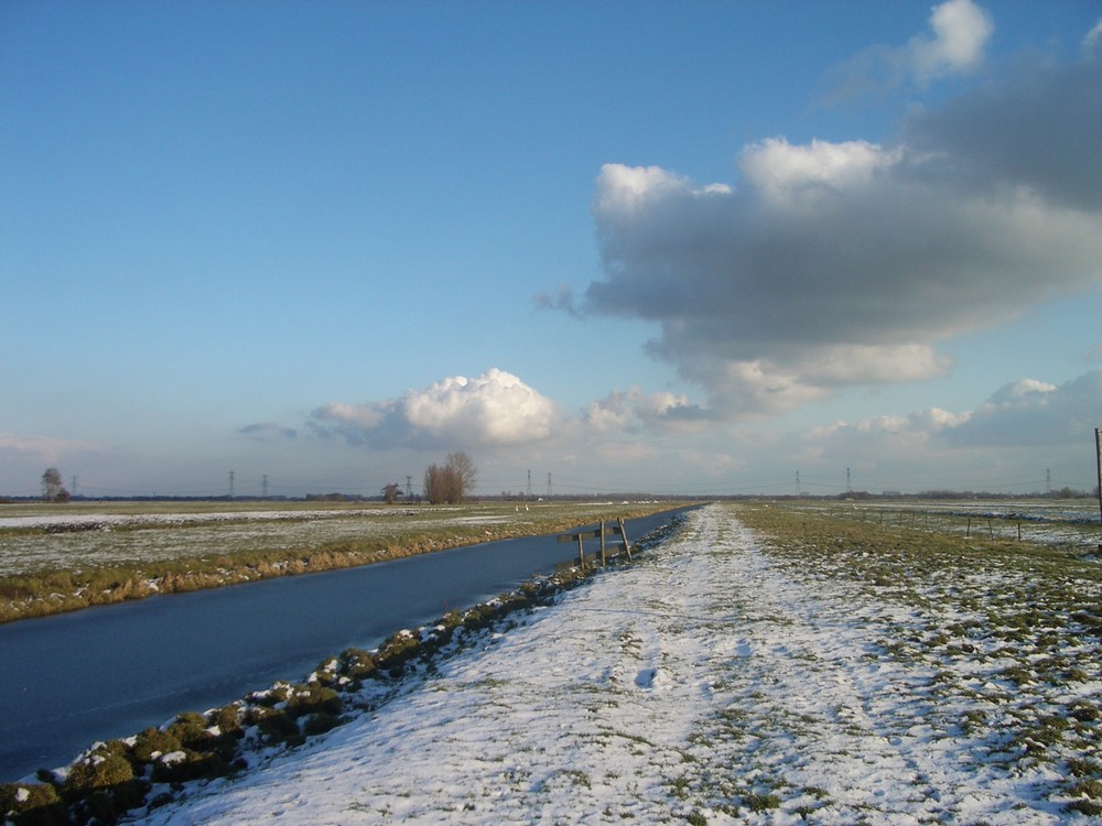 Polderlandschaft