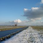 Polderlandschaft