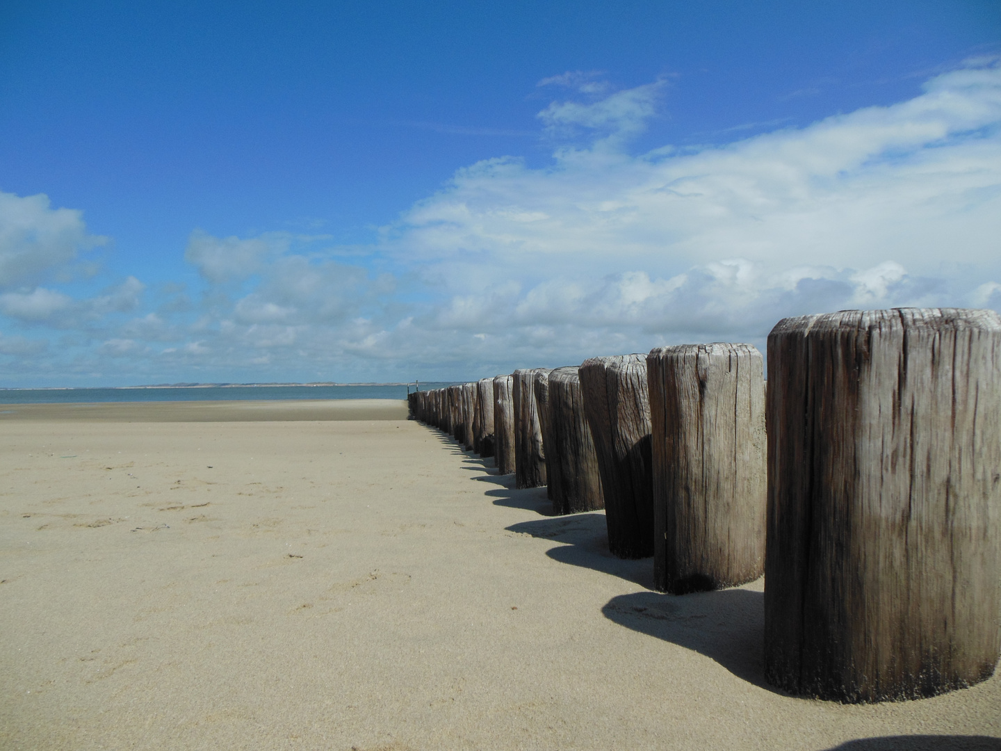 Polderlandschaft