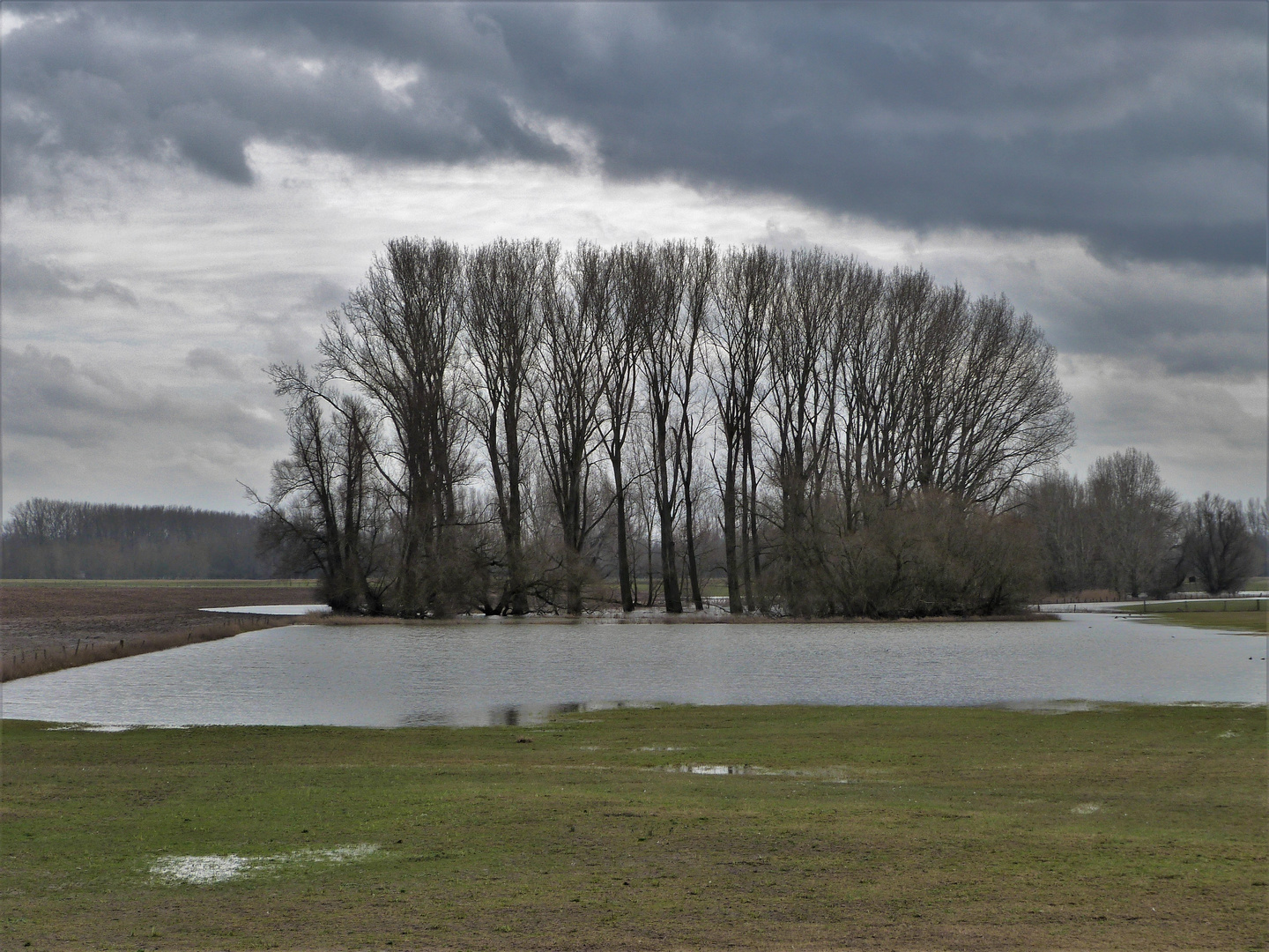 Polderlandschaft