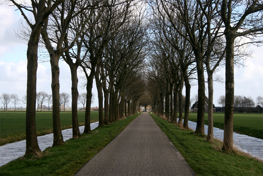 Polderlandschaft