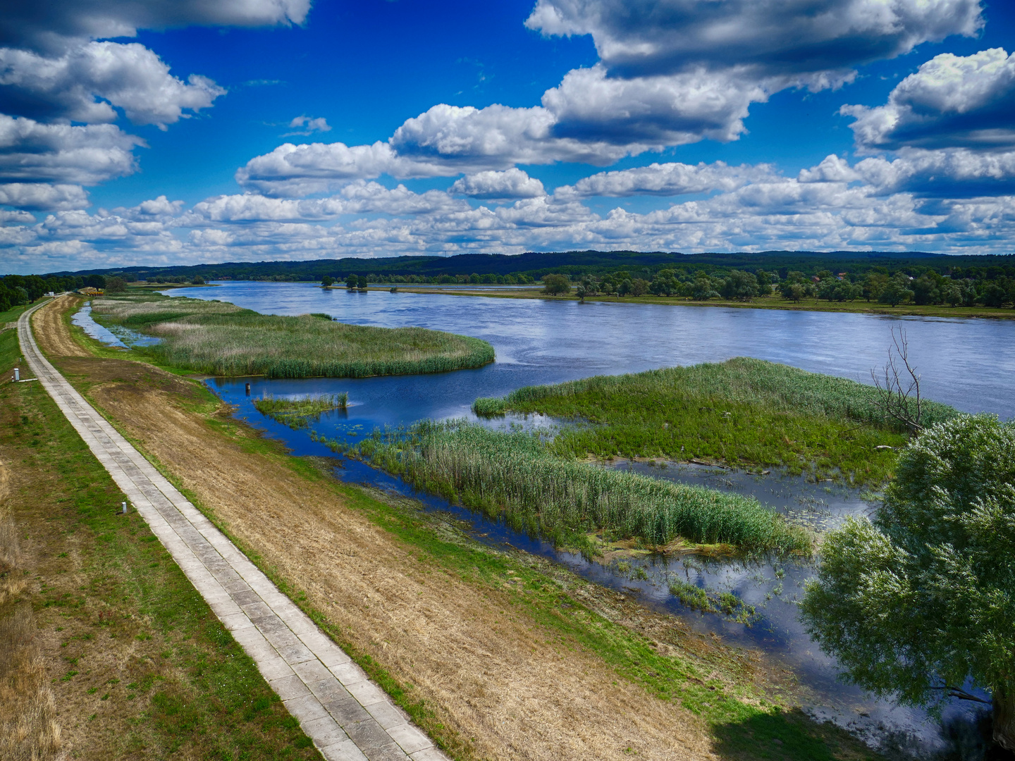 Polderlandschaft