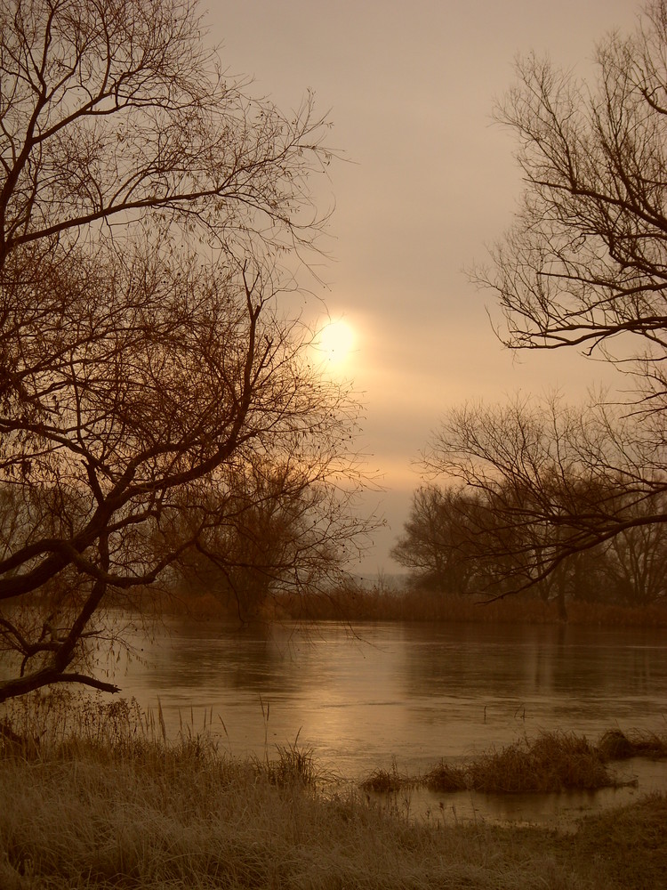 Polderlandschaft