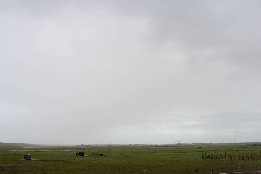 Polderlandschaft bei Camperduin