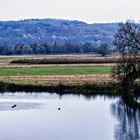 POLDERLANDSCHAFT BEI SCHWEDT/ODER