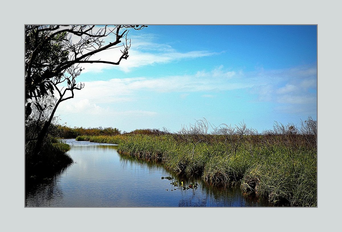 ... Polderlandschaft in Nord- Holland ...