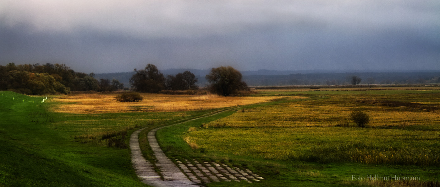 POLDERLANDSCHAFT ZWISCHEN KANAL UND ODER AN EINEM REGNERISCHEN TAG MIT PARTIELLEM SONNENSCHEIN