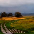 POLDERLANDSCHAFT ZWISCHEN KANAL UND ODER AN EINEM REGNERISCHEN TAG MIT PARTIELLEM SONNENSCHEIN