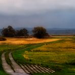 POLDERLANDSCHAFT ZWISCHEN KANAL UND ODER AN EINEM REGNERISCHEN TAG MIT PARTIELLEM SONNENSCHEIN