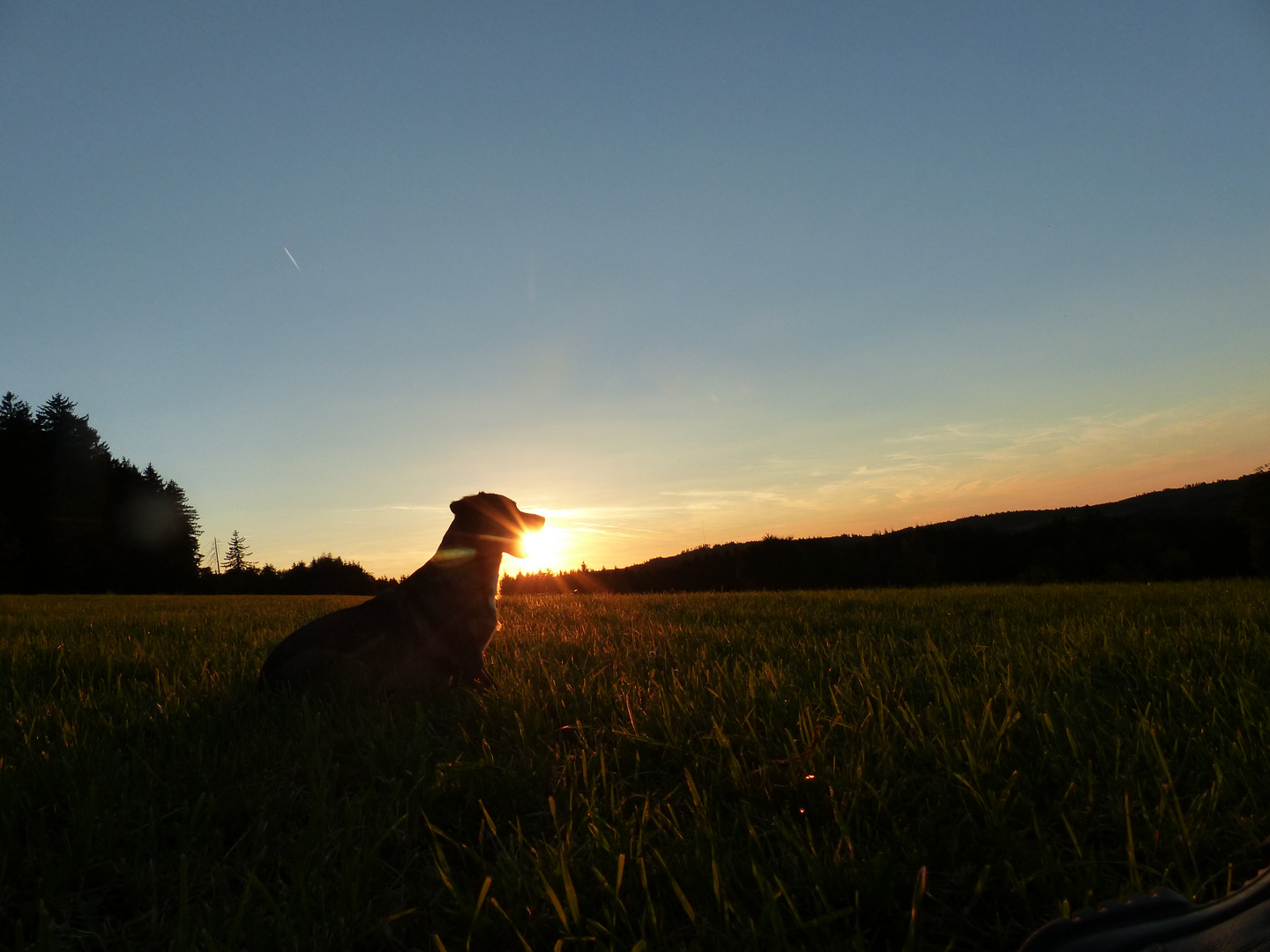 Poldi & Sonnenuntergang 05