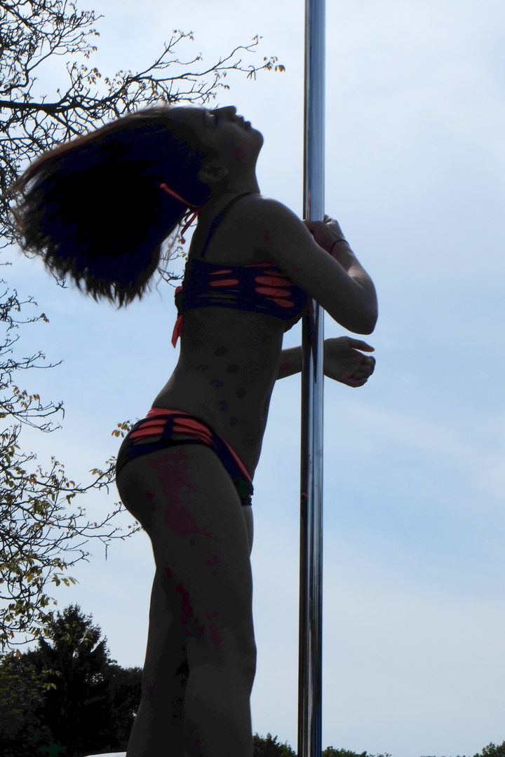 Pole-Dance 04