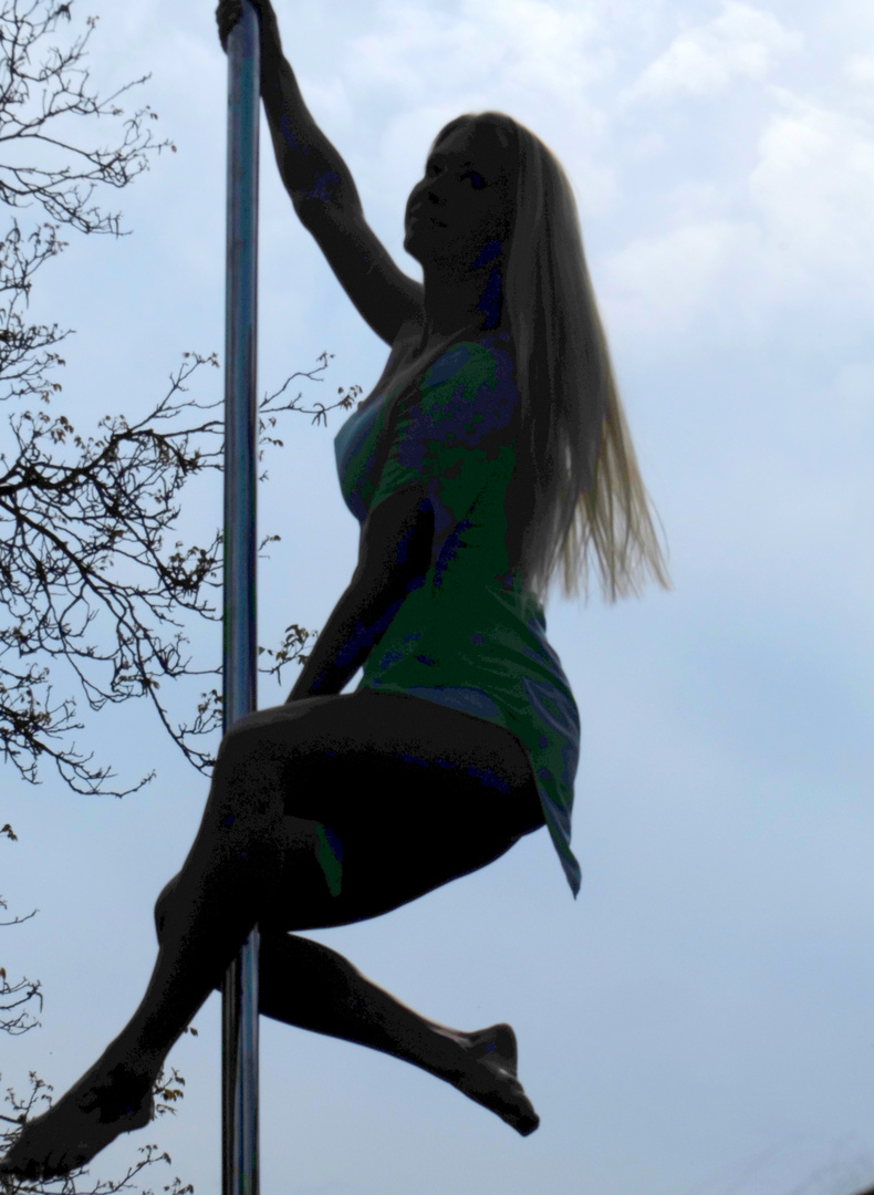 Pole-Dance 06