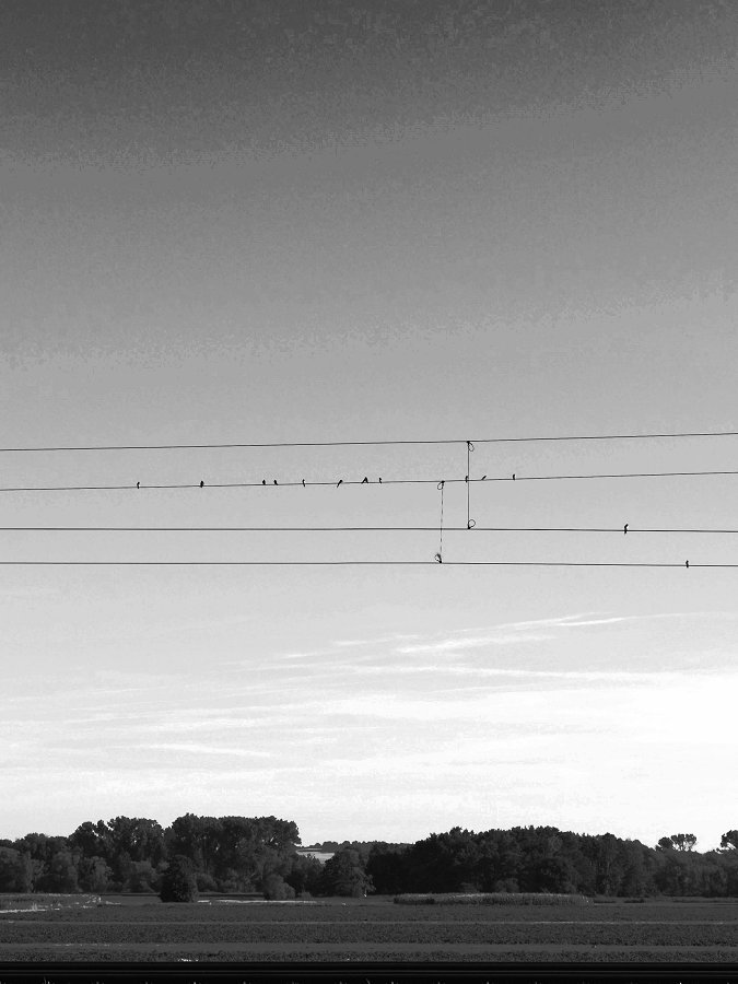 Pole Position Foto & Bild landschaften, moose, bayern Bilder auf