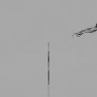 pole vault