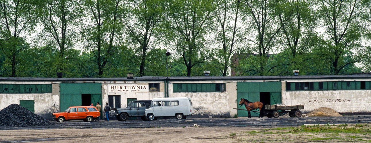 Polen - 1991