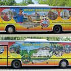 Polen: Der Cottbus - Bus von Zielona Gora (Grünberg)