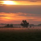 Polen ganz früh am Morgen :-D