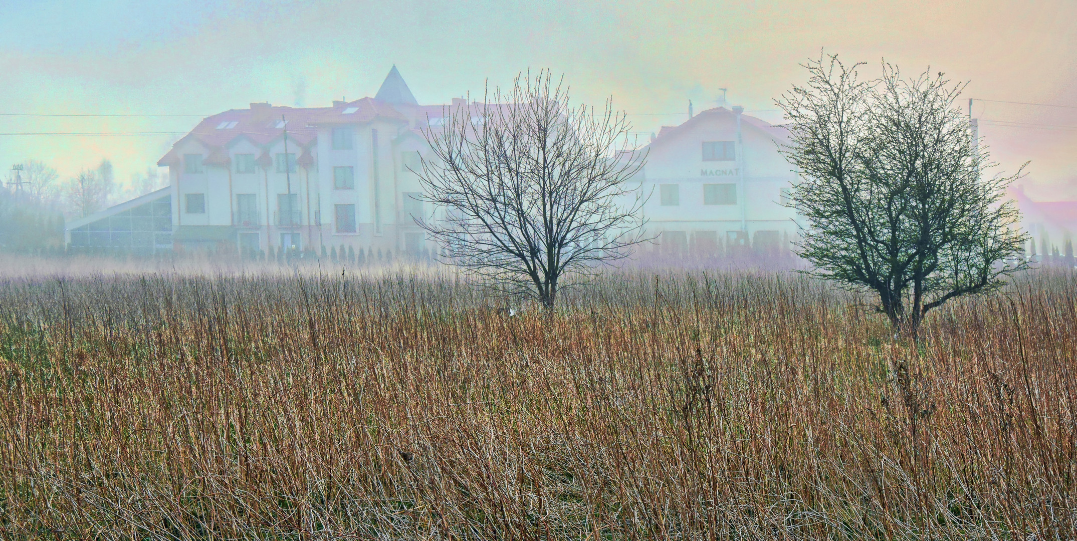 POLEN GRZYBOWO - Spaziergang im Nebel