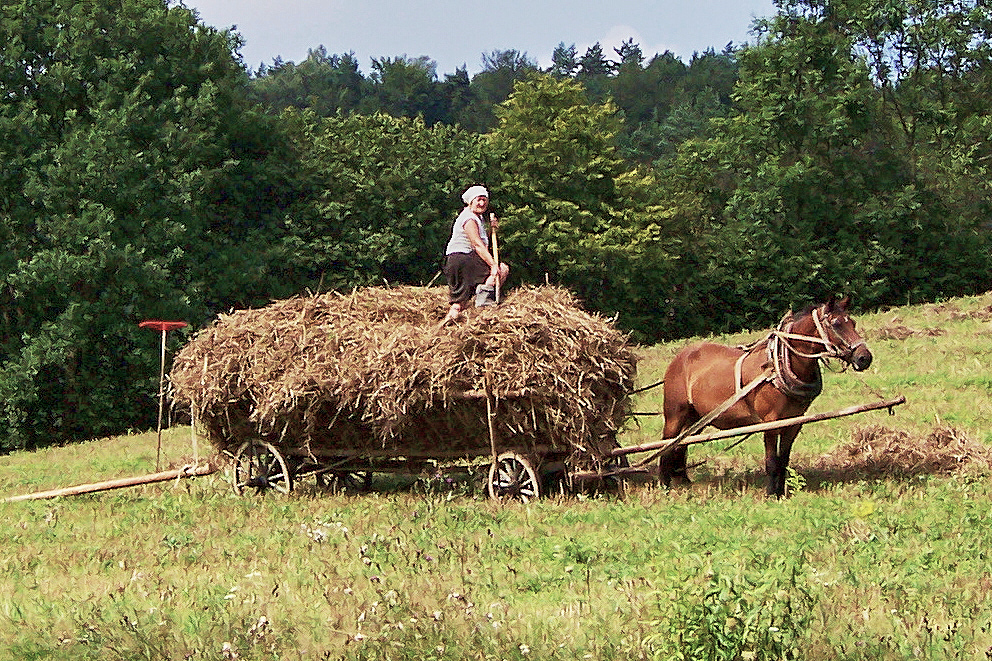 Polen : Heuernte im Jahr 2007