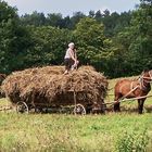 Polen : Heuernte im Jahr 2007