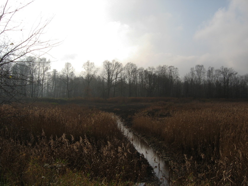 Polen, Umgebung Pawonkow