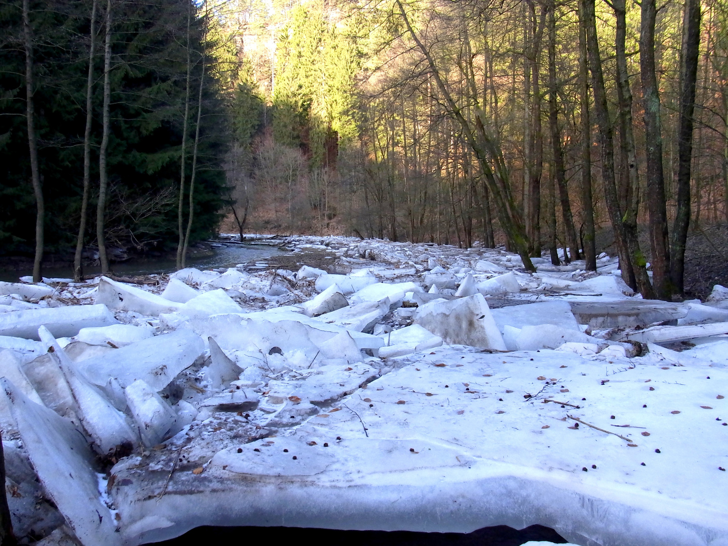 Polenztal nach dem Eisgang