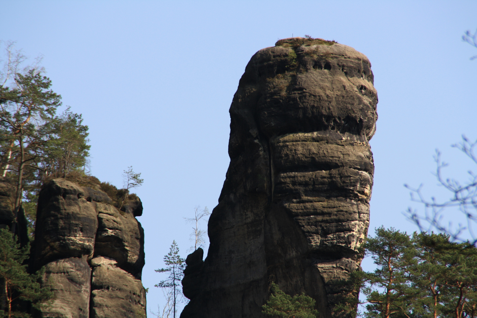 Polenztalwächter bei Hohnstein Sächsische Schweiz