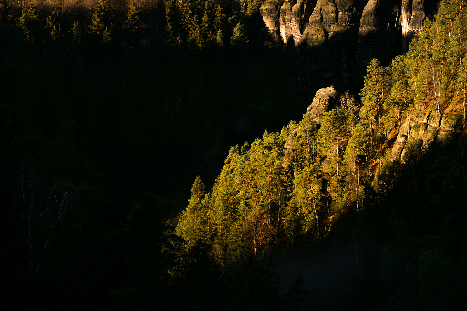 Polenztalwächter im Licht