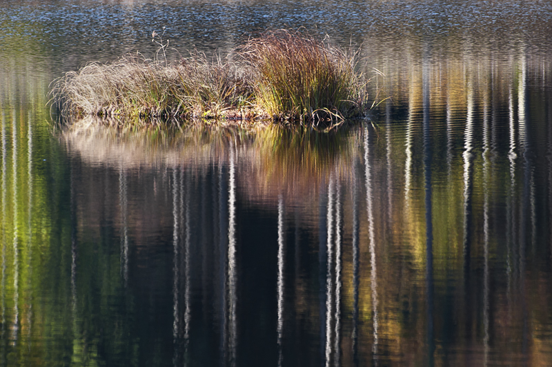 poles in a mirror