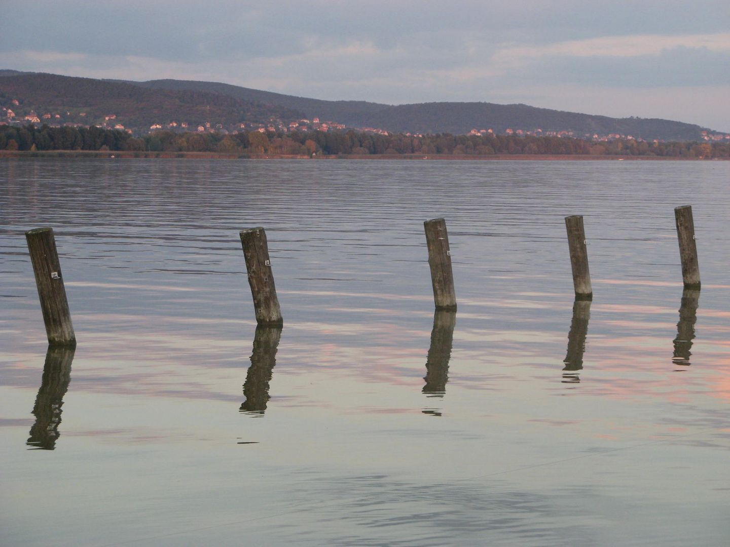 Poles in the Lake