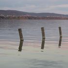 Poles in the Lake