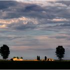 Polesine - un dipinto naturale