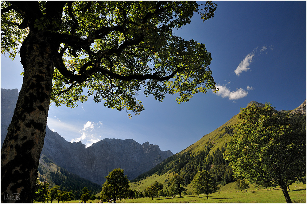 Polfilter quälen am Ahornboden