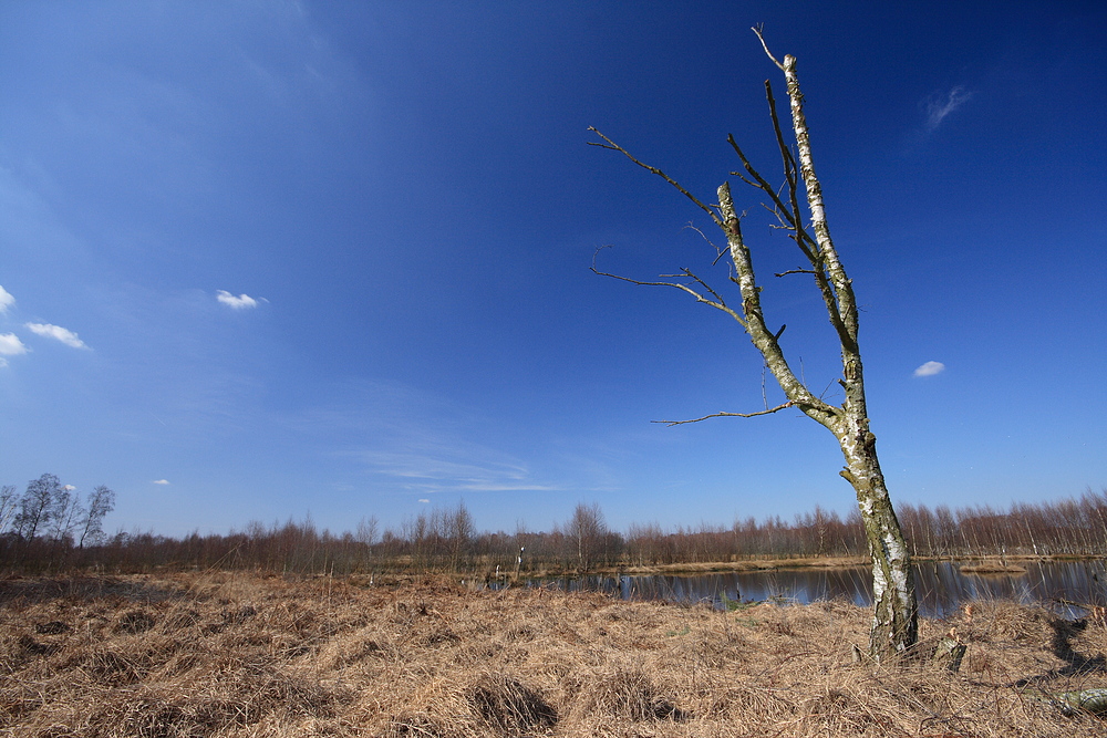 Polfilterwetter im Moor