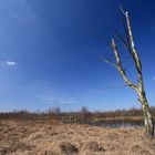 Polfilterwetter im Moor