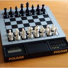 Polgar Modular