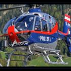 Police Air Support