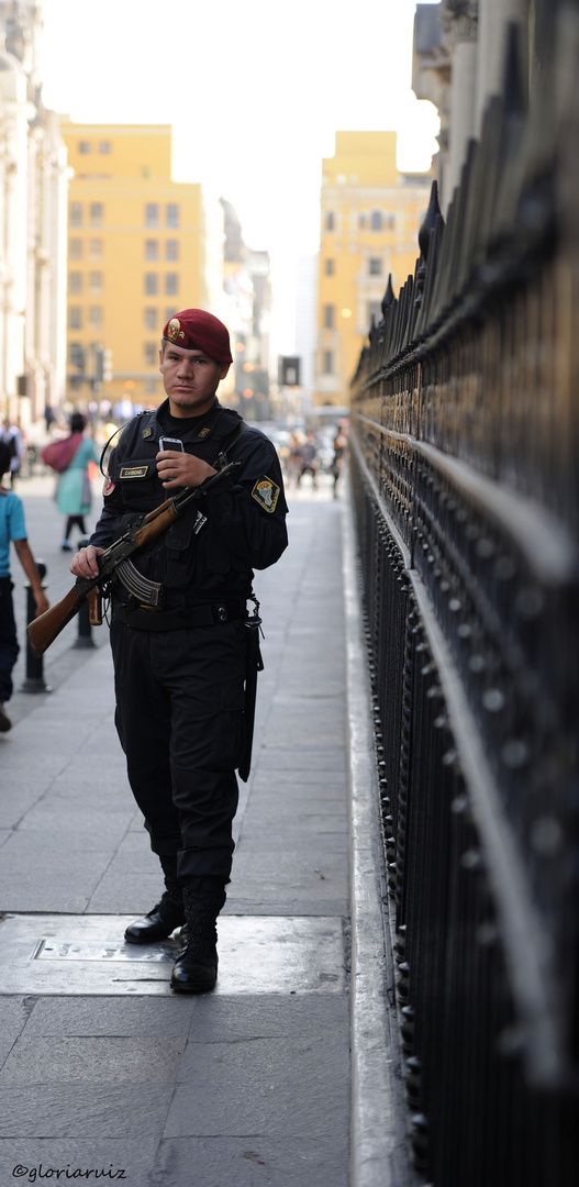 Police guarding the Government Palace Lima Perú